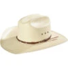 Stetson Hats Men's Ocala Straw Hat