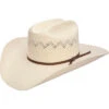 Stetson Peeler Dri-Lex 8X Shantung Straw Cowboy Hat
