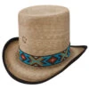 Charlie 1 Horse Outlaw Spirit - Straw Top Hat