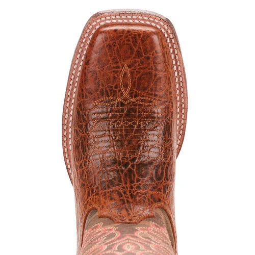 Circuit Cisco 3 Circuit Cisco - Image 3