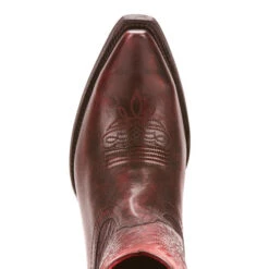 Circuit Stella 9 Circuit Stella -Exotic Clothing file 2011