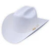 Serratelli Hat Company White 100X Beaver Felt Hat