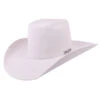 Cuernos Chuecos 6x White Brick Crown Hat