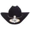 5x Larry Mahan Brindle Fur Felt Cowboy Hat Black