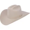 1000X Stetson Diamante Hat Made With Premium Chinchilla/Beaver - Silver Belly