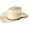 Stetson Rancher Straw Cowboy Hat