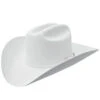 Stetson 10X Shasta Felt Hat- White